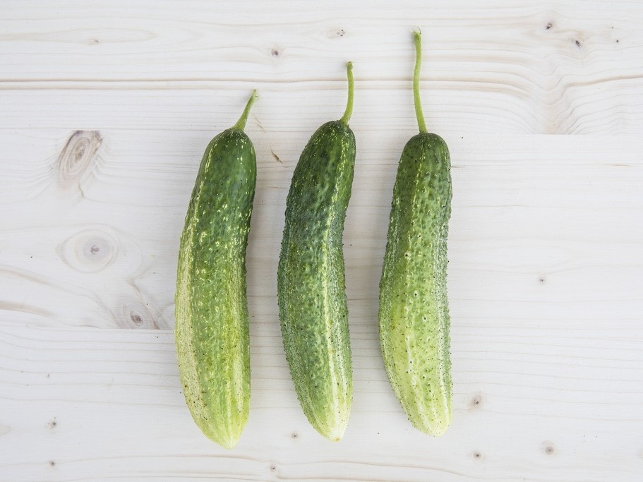 Tous les légumes / Concombres, Cornichons / Cornichons