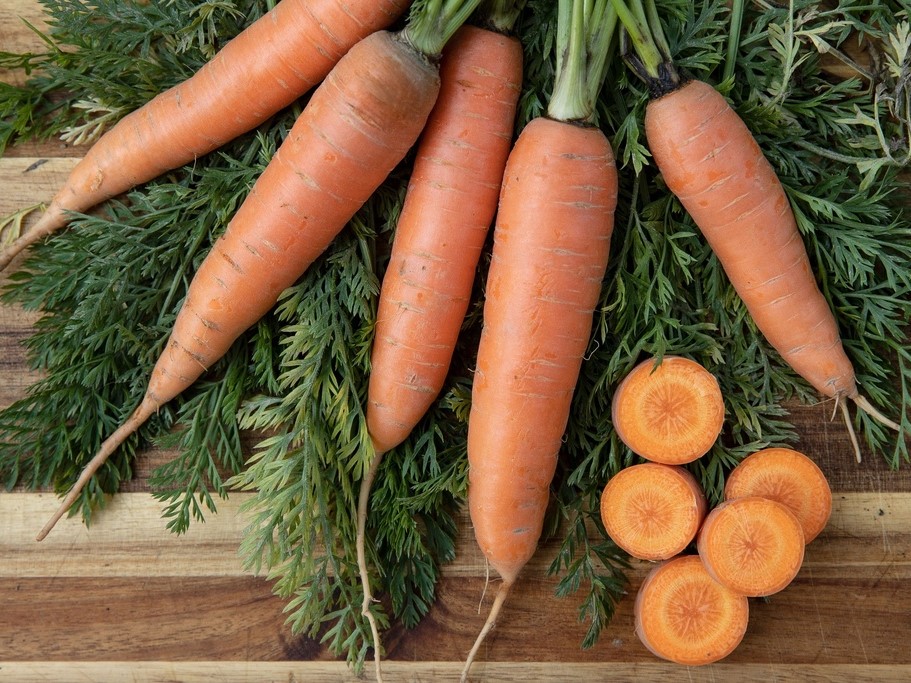 All vegetable seeds / Carrots