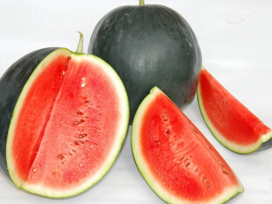 Graines de légumes / Pastèques, Melons sucrins / Pastèques