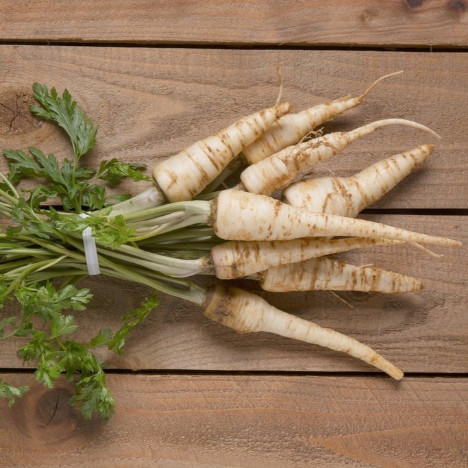 Graines de légumes / Persil-racine