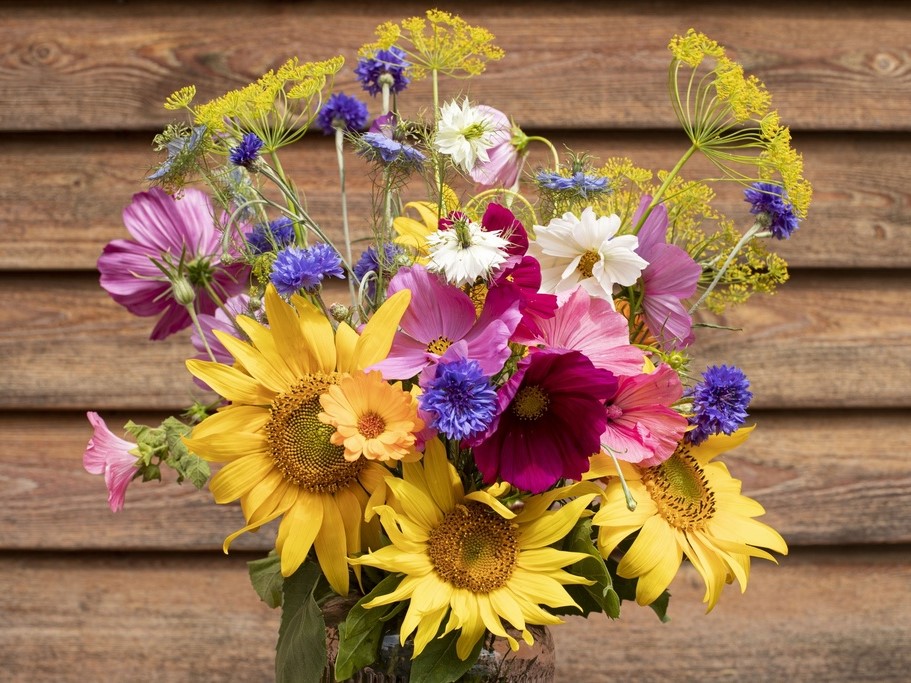 Toutes les fleurs / Mélanges de fleurs