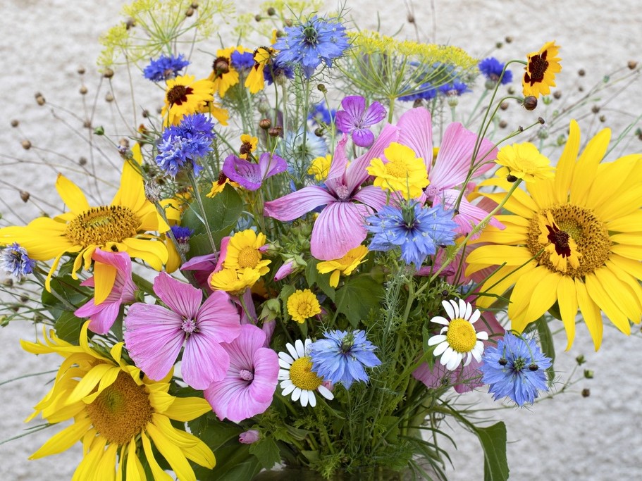 Tuti gli semi di fiori / Misto fiori / Miscele di fiori melliferi per le api