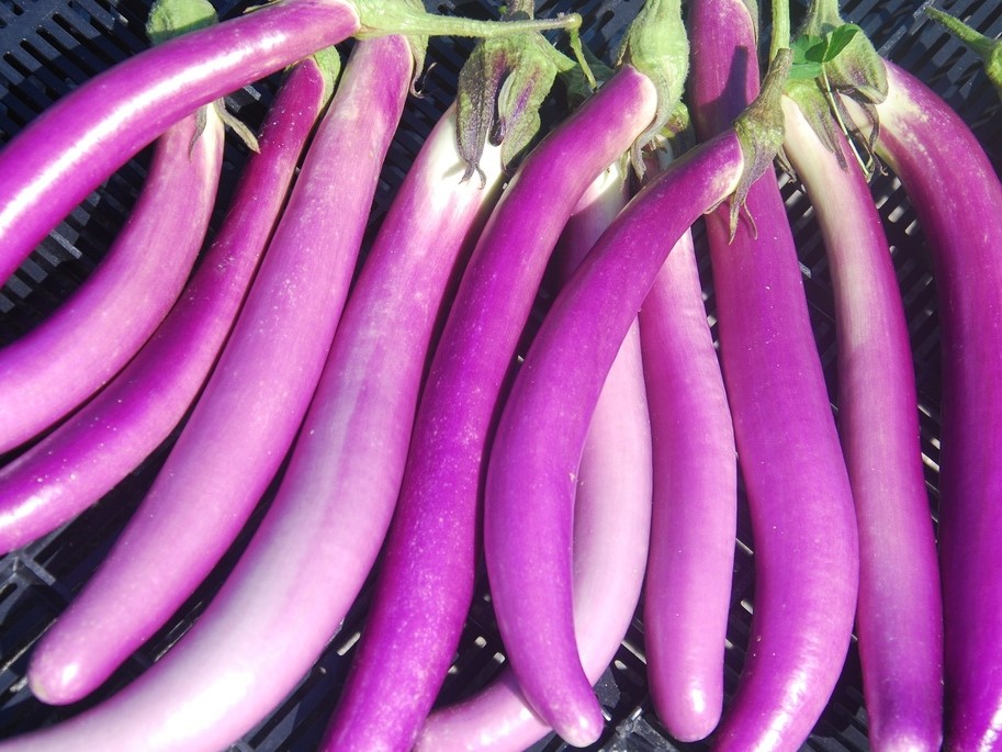 Tous les légumes