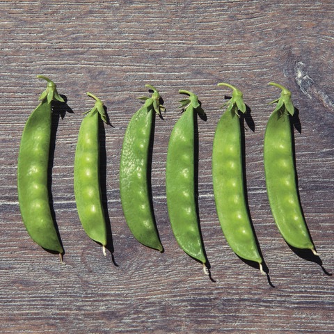 All vegetable seeds / Peas, Snow peas, Sugar peas, Cickpeas