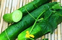 Cucumber, Tanja