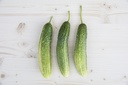 Pickling cucumber, De Bourbonne