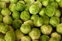 Brussel sprouts, Perfection du Pays