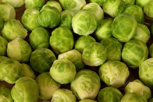 [AA-1281-00] Brussel sprouts, Perfection du Pays
