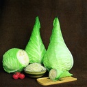 White cabbage, Filderkaut