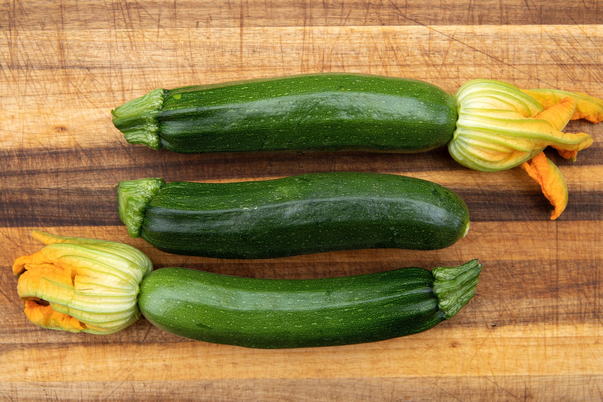 Buy Zucchini, Gray Zucchini Selection Z seeds | Zollinger Bio
