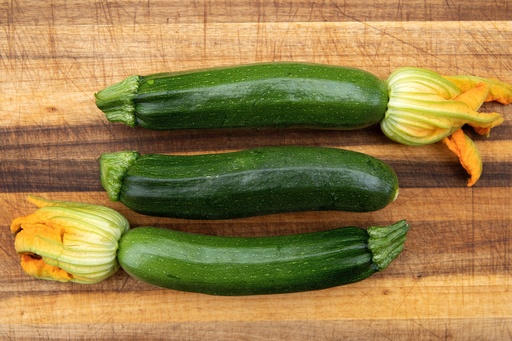 Courgette, Grey Zucchini Sélection Z