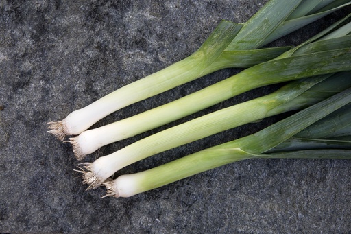 Leek, Bleu de Solaise