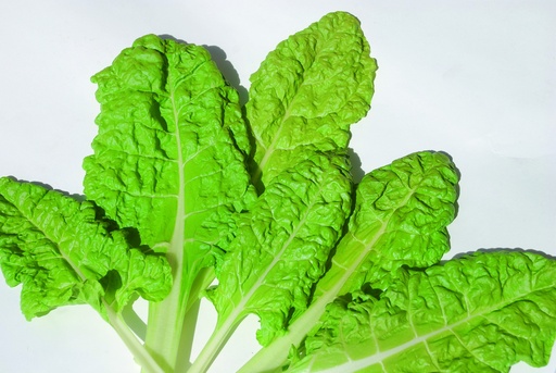 Swiss chard, Yellow from Graubünden