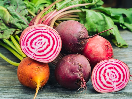 [AA-2883-00] Beet (Beetroot), Chioggia