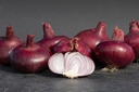 Onion, Wädenswiler Red Selection Z