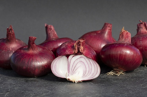 [AA-4011-00] Onion, Wädenswiler Red Selection Z