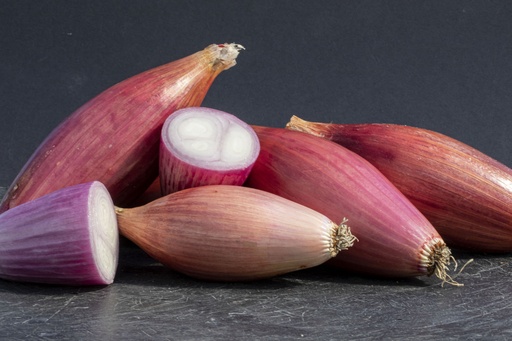 [AA-4018-00] Zwiebel, Lange rote von Florenz