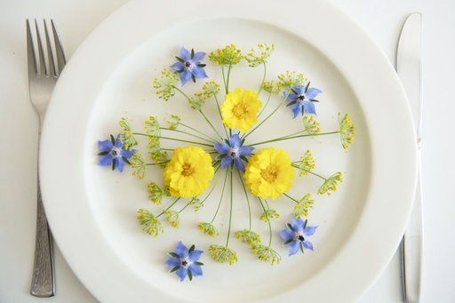 [AC-8842-00] Flower mix, Edible flowers (annual)