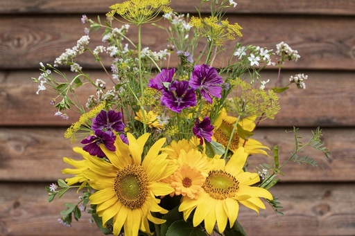 Gründüngung, Blumenwiese für Nützlinge