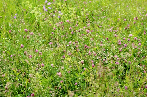 Colture di copertura, Miscela per terreni compattati