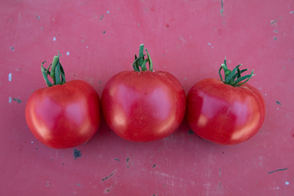 Semi Di Pomodoro Miele Rosa – Da Coltivare In Vaso O In Giardino – Prodotto Ucraina
