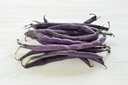 Bush bean, Purple Queen