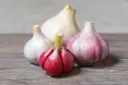 Ail 'Morado'